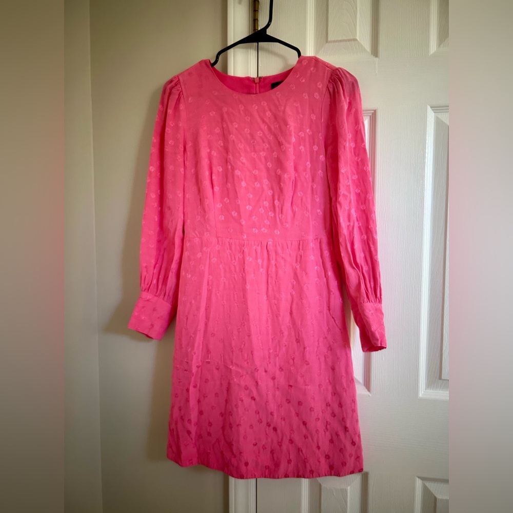 J. Crew‎ Polka Dot Long Sleeve Pink Dress
